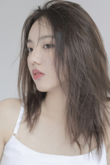 决战燕子门下载